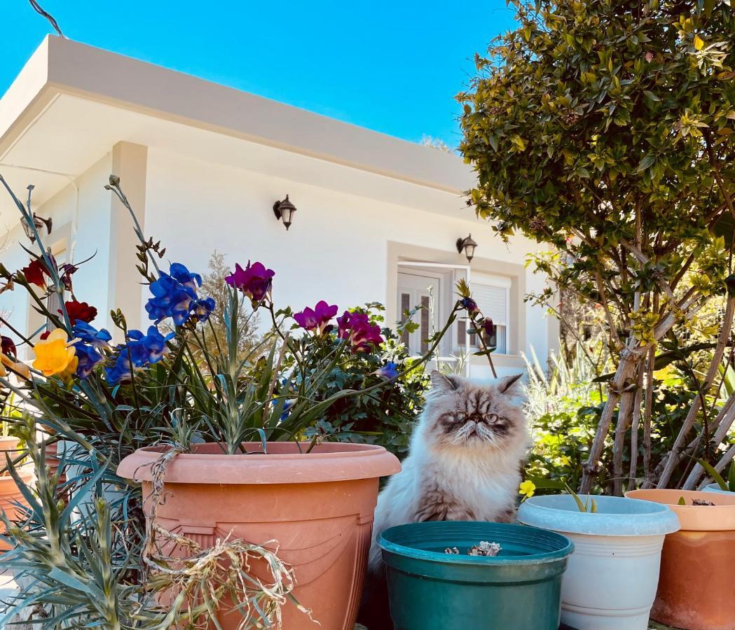 Archangelos Garden House Exterior foto